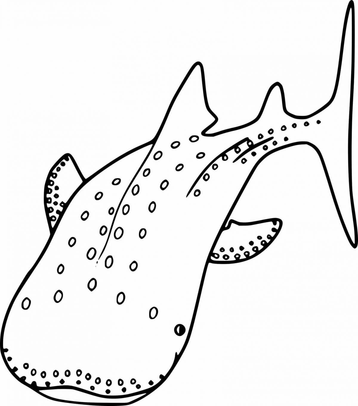 Whale shark #6