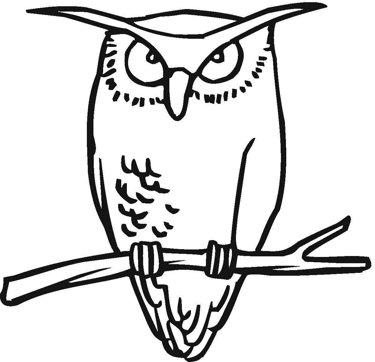 Coloring book wild white owl