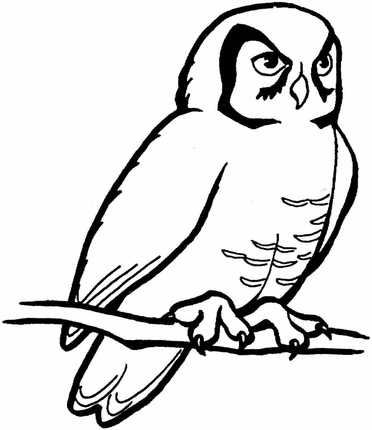 Royal white owl coloring page