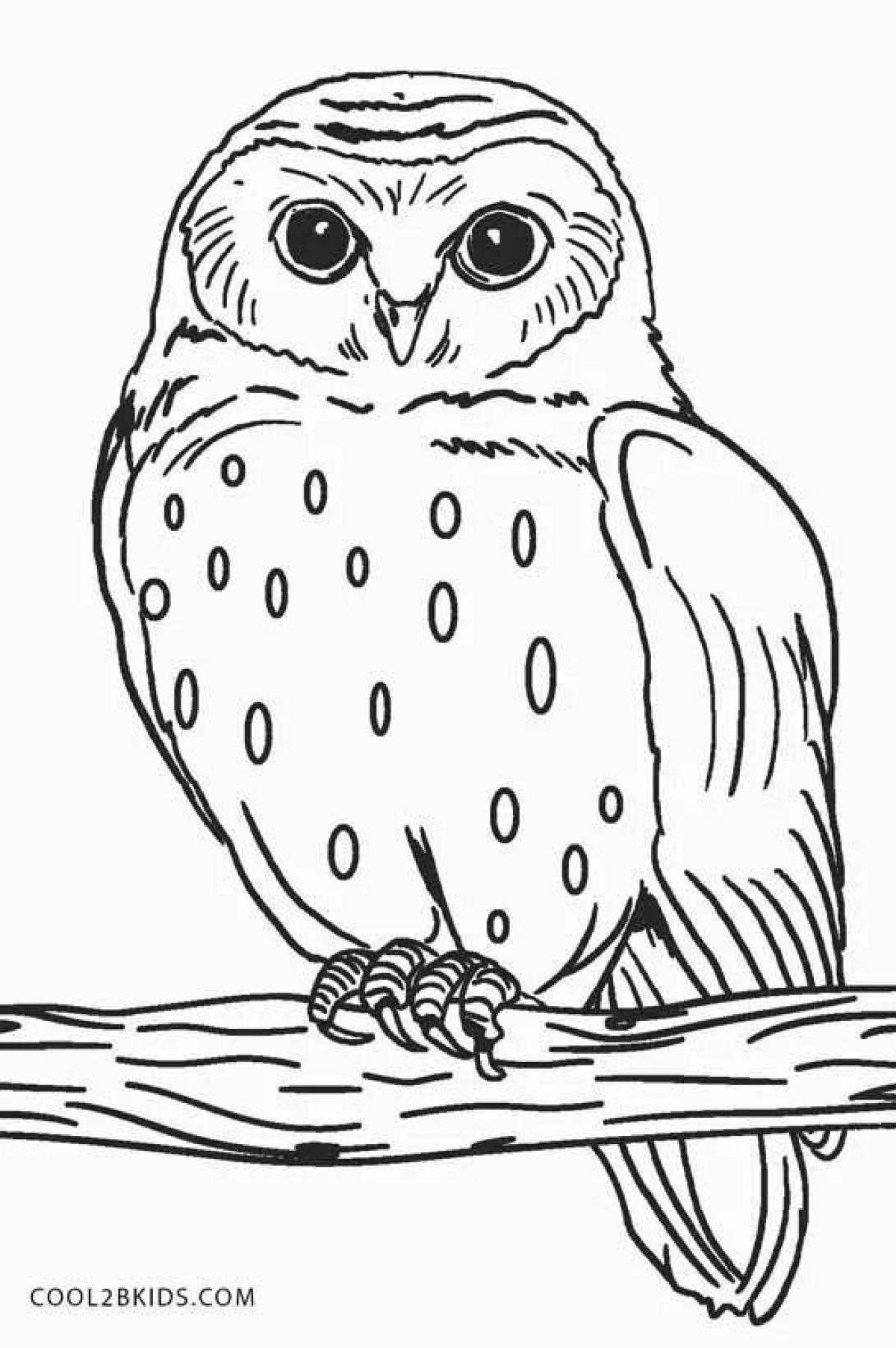 Coloring book of a dazzling white owl