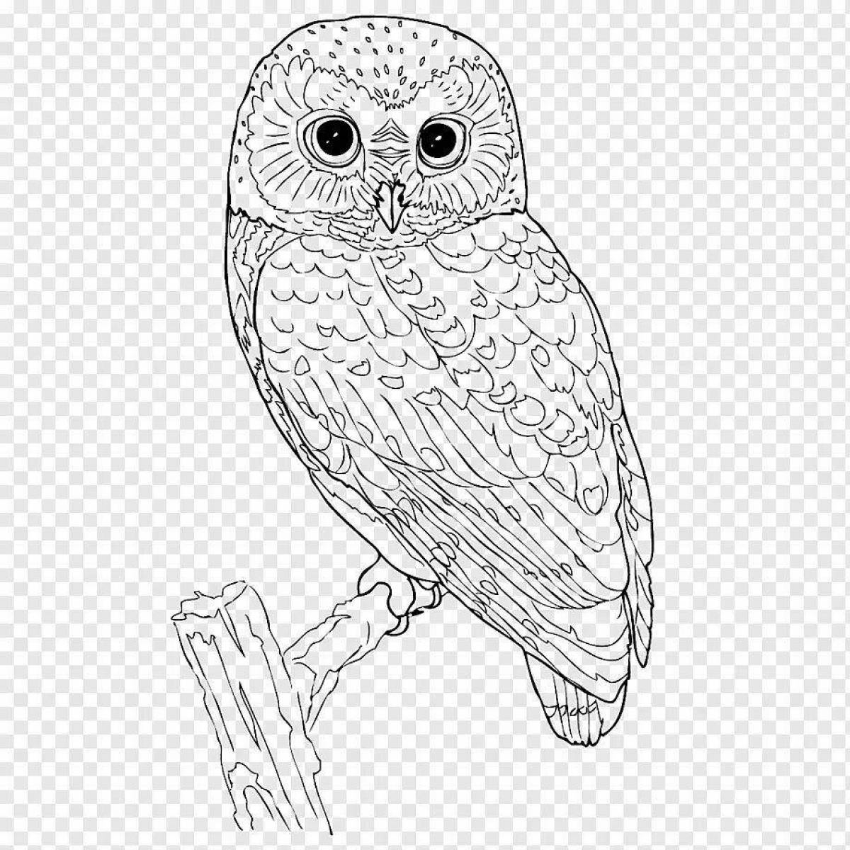 Great white owl coloring page