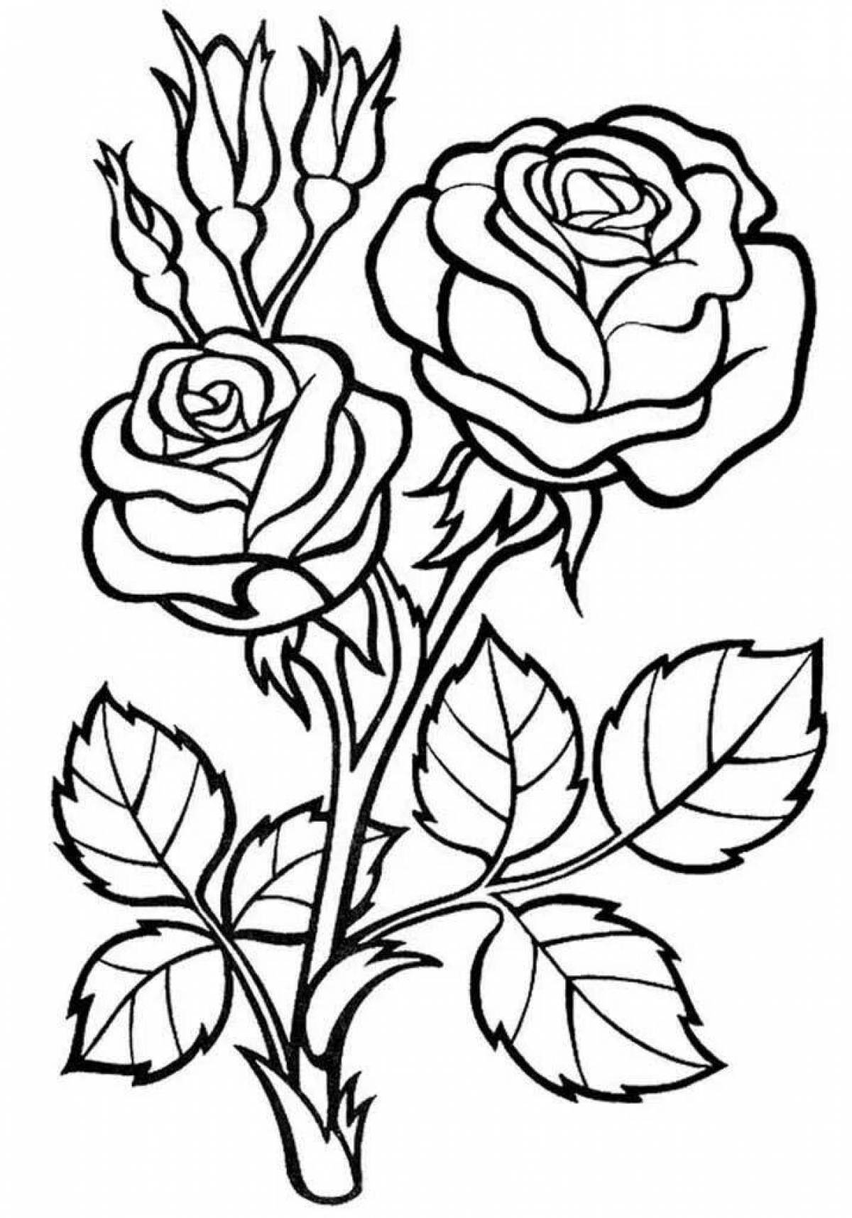 Exquisite rose coloring page