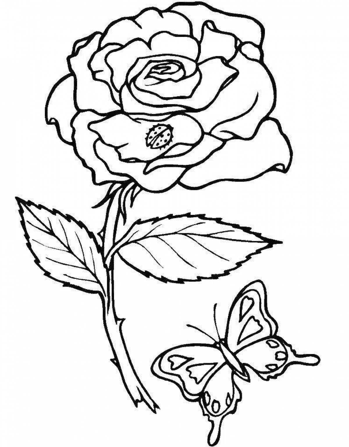 Coloring book gorgeous rose
