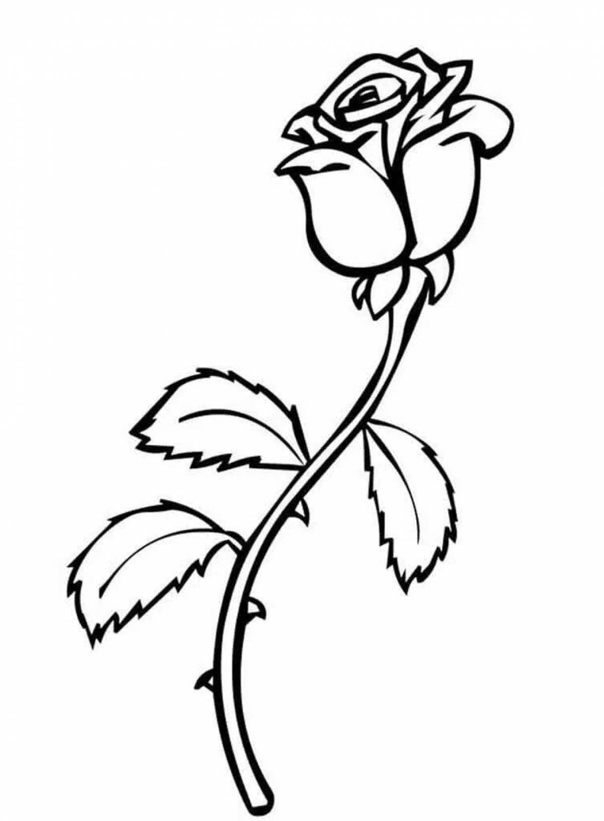 Flawless rose coloring page