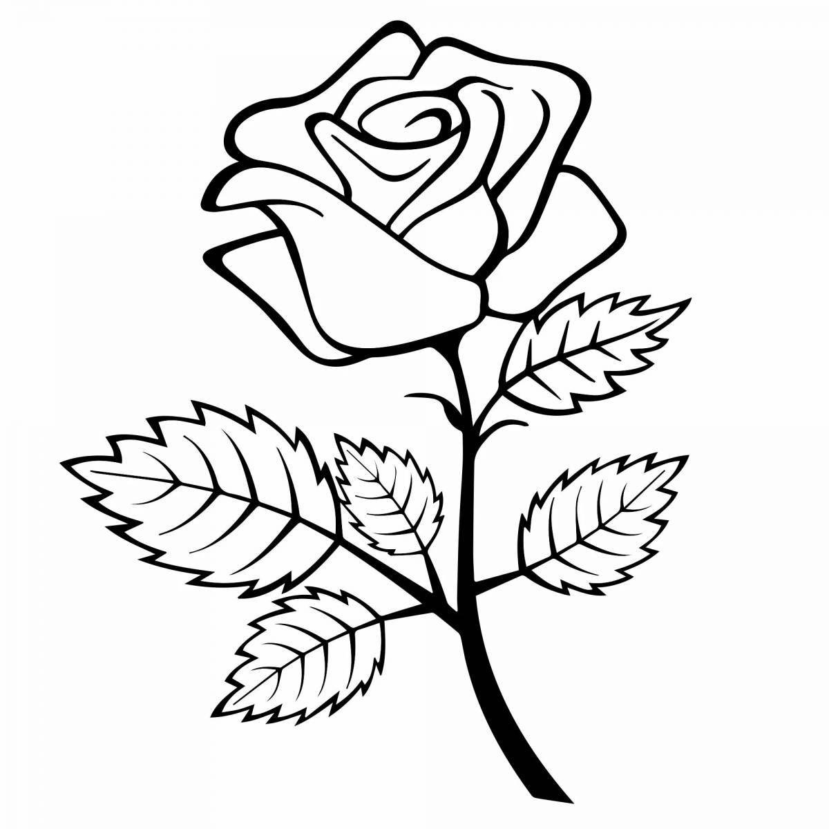 Colorful rose coloring page