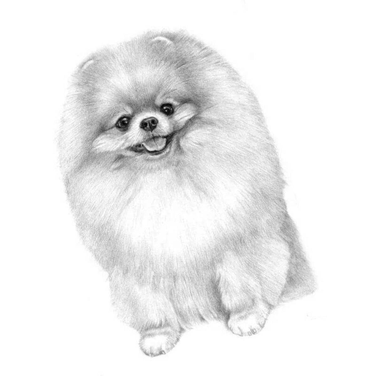 Sweet spitz coloring page