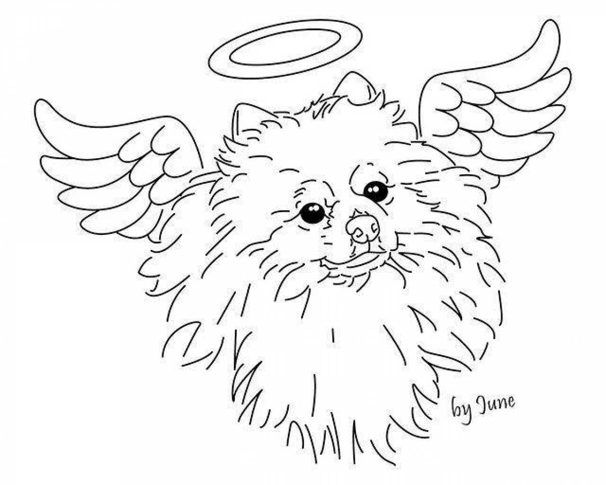 Coloring page charming spitz