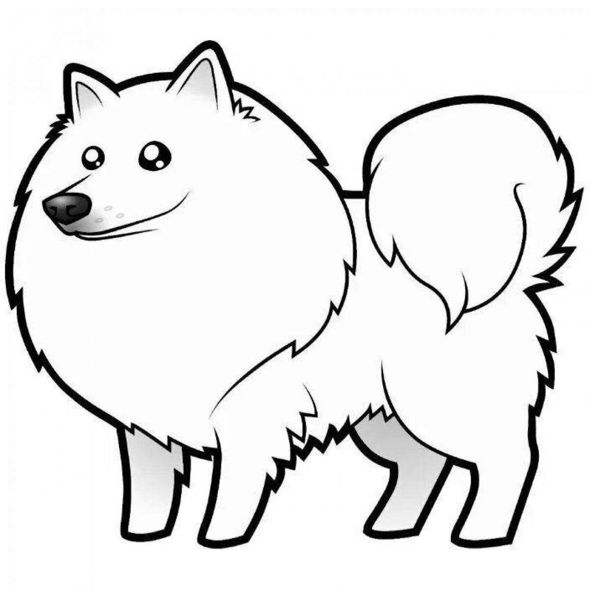 Coloring animated spitz