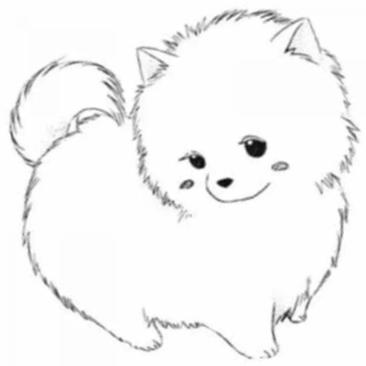 Sparkling spitz coloring page