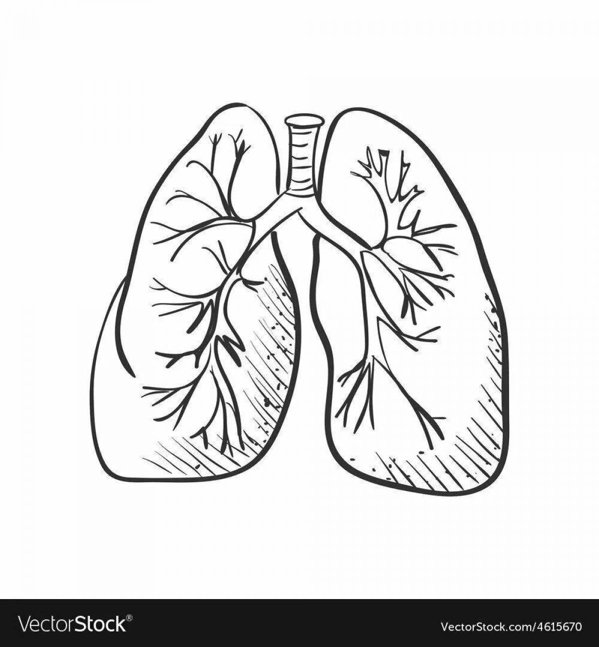 Realistic human lung coloring book