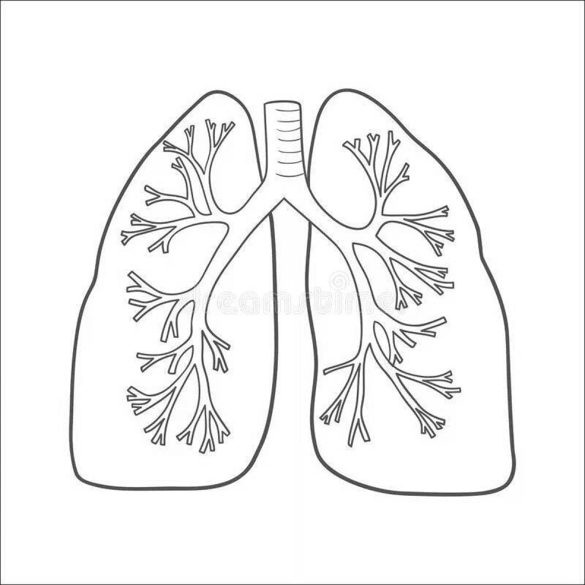 Attractive coloring human lungs