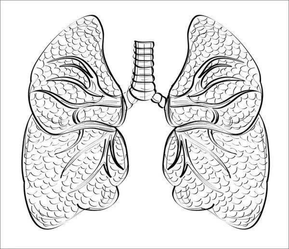 Fun coloring human lungs