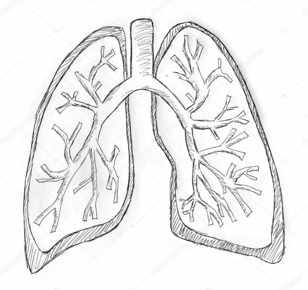 Coloring pages human lungs