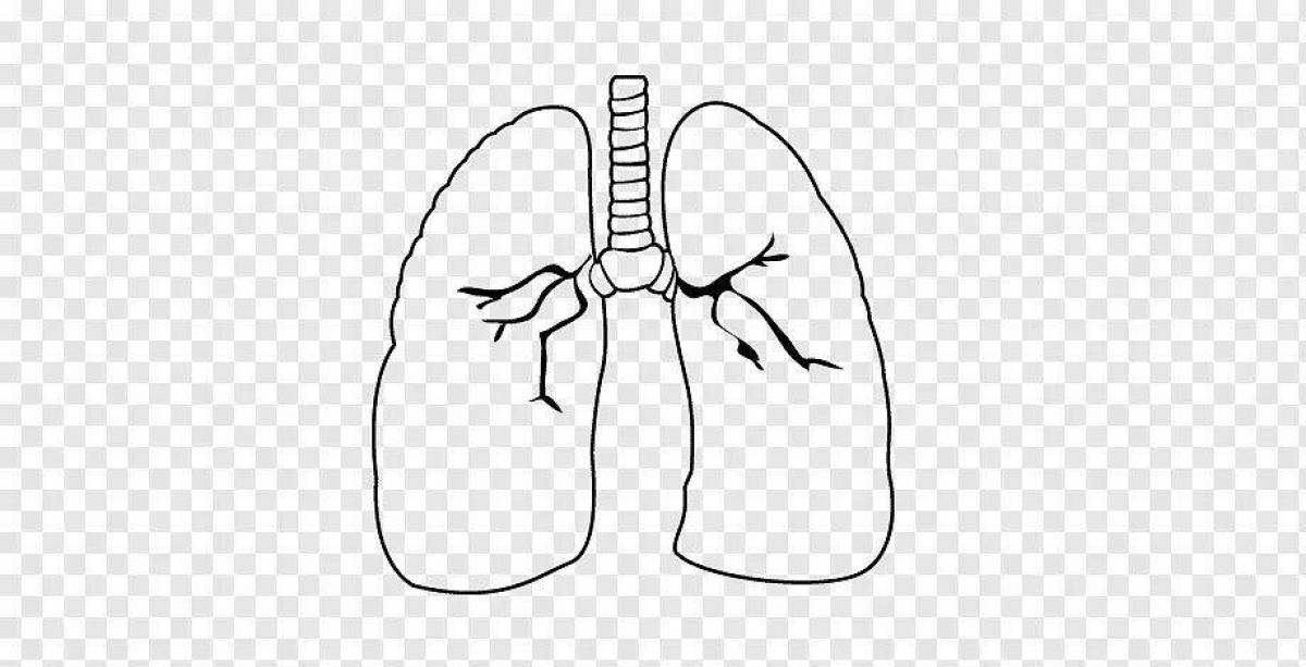 Exquisite human lung coloring book