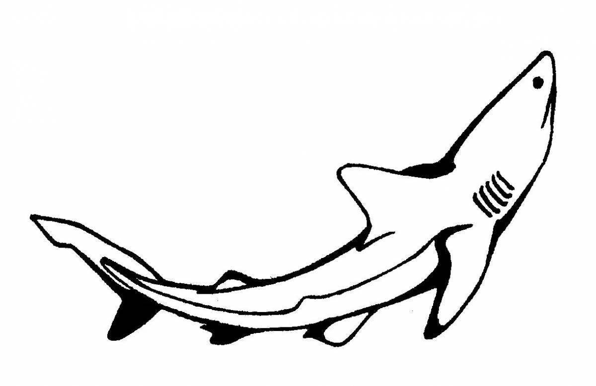 Ikea shark coloring page