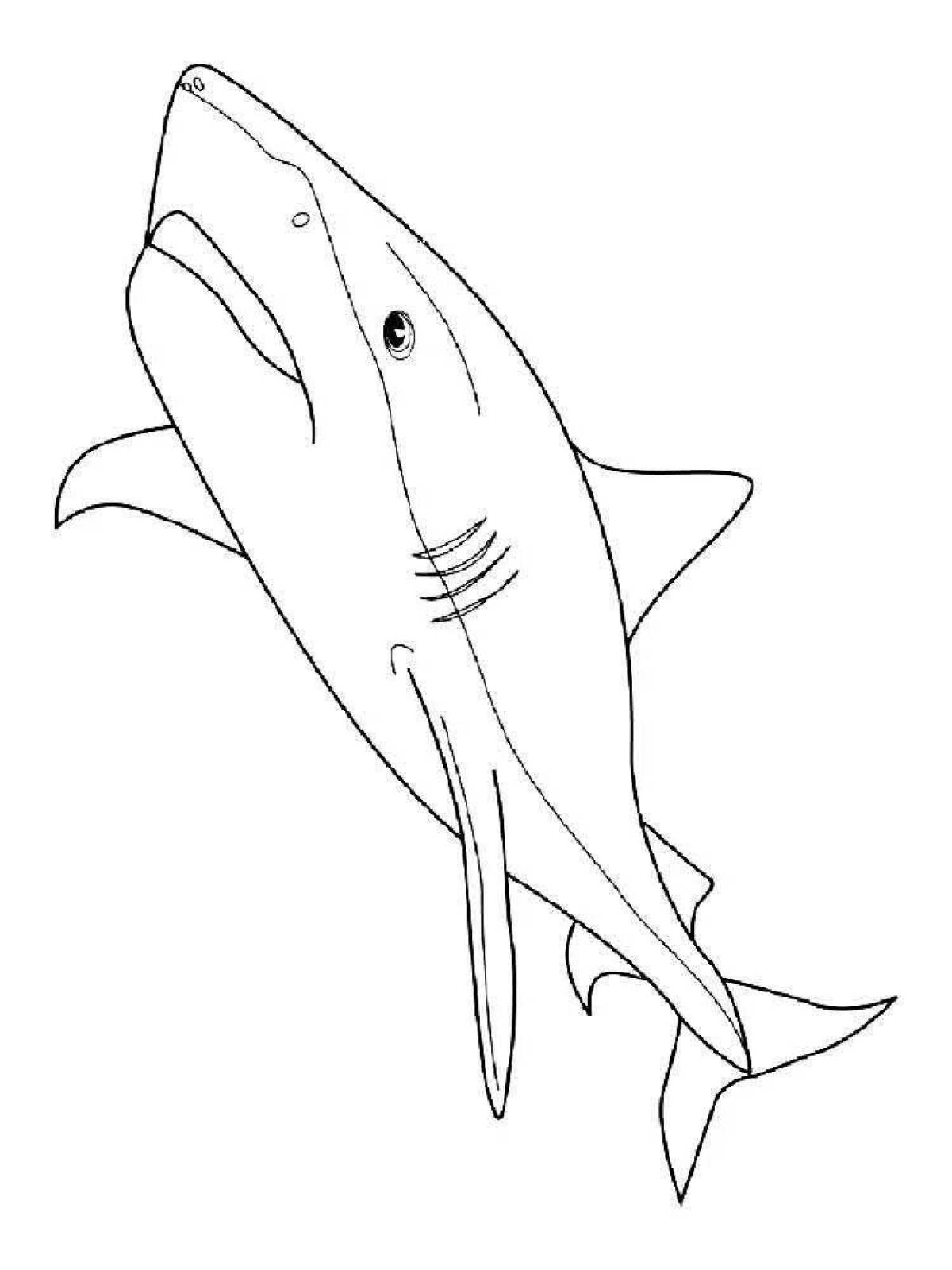 Impressive shark coloring book from ikea