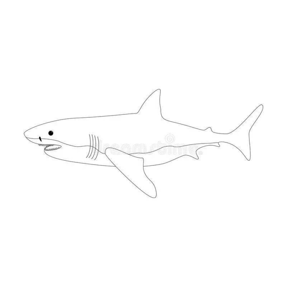Live coloring shark from ikea