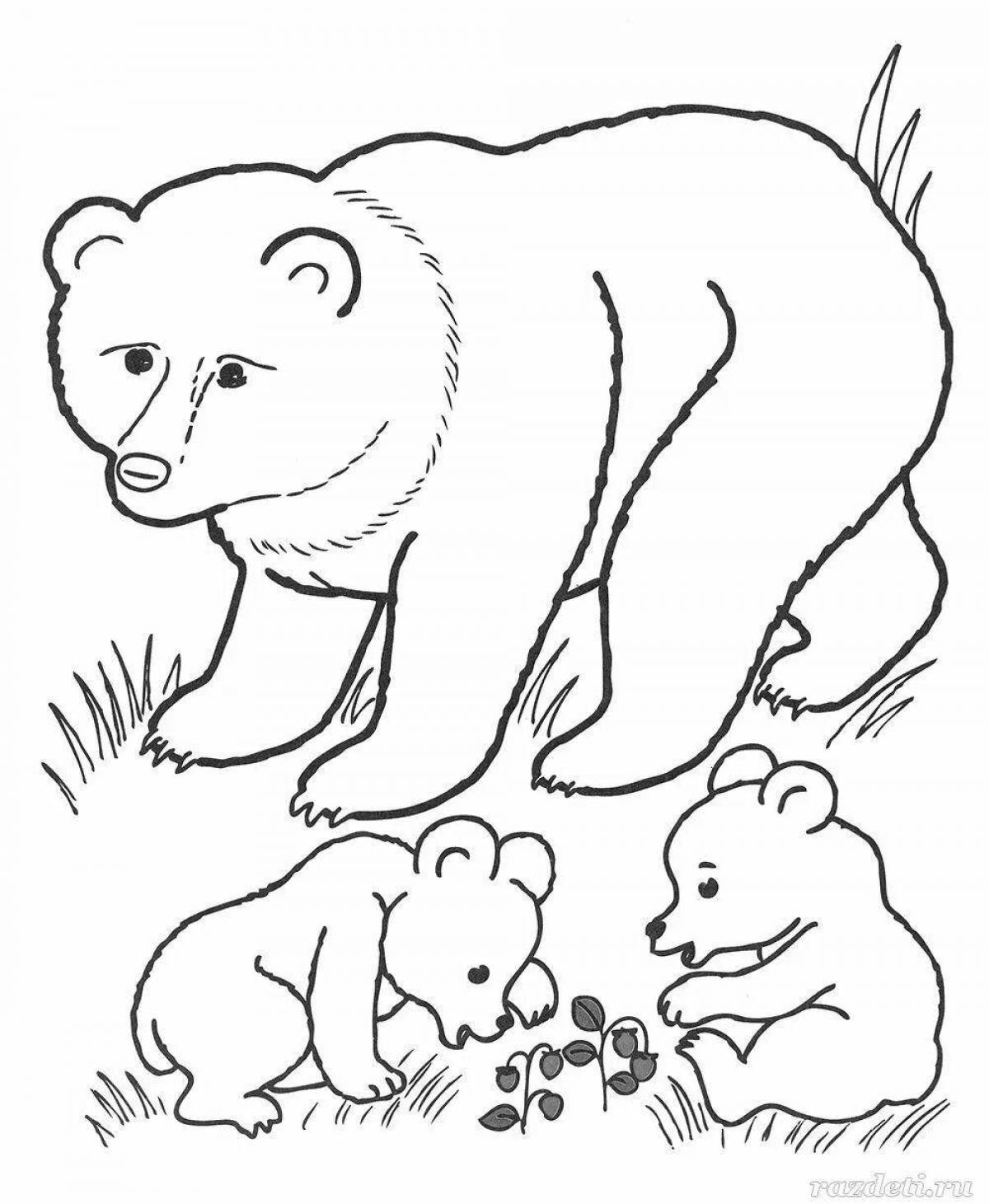 Coloring book nice bear and fox