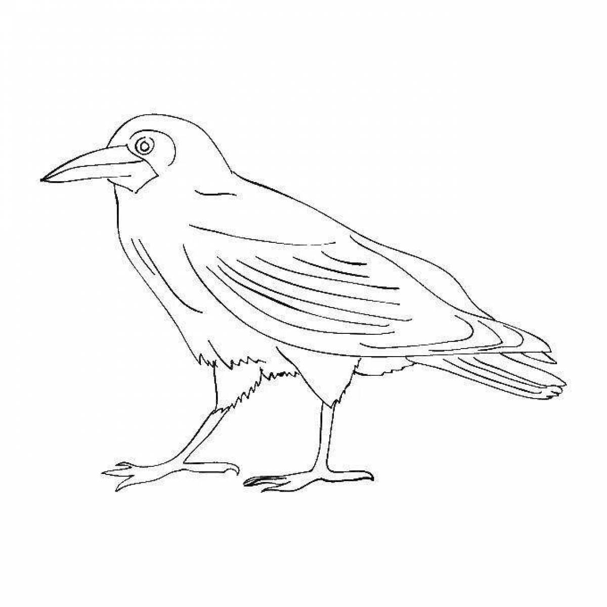 Sparrow and crow holiday coloring page