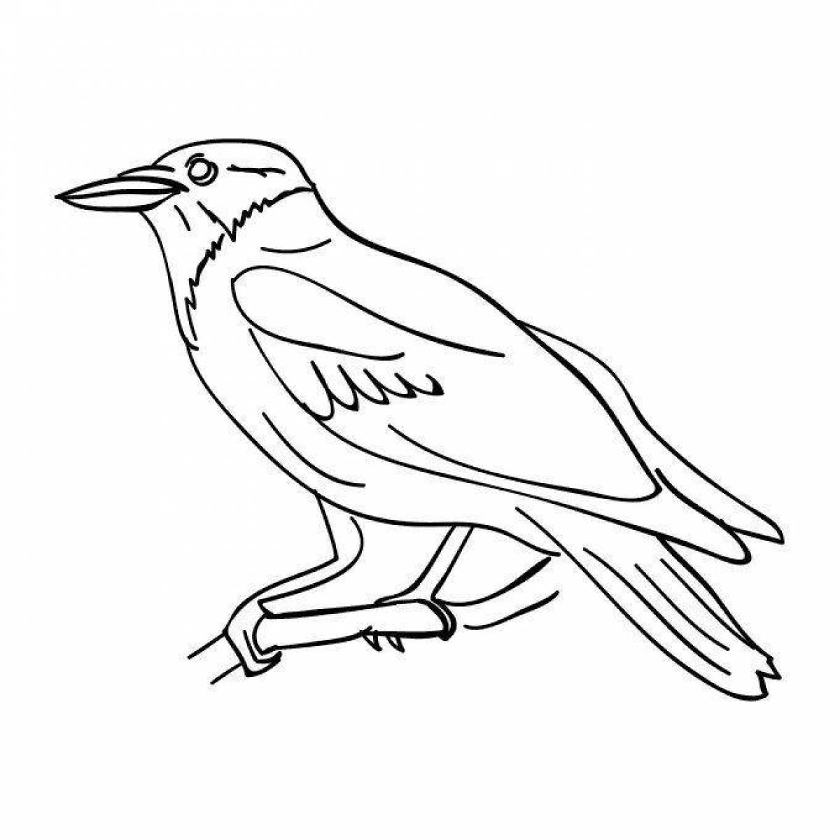 Динамическая страница раскраски воробей и ворона