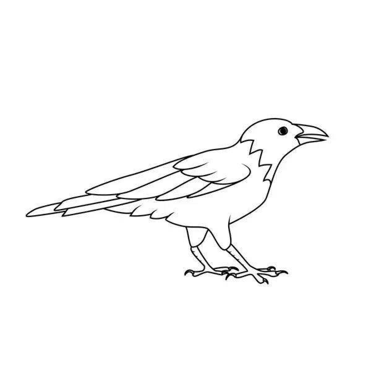 Coloring page charming sparrow and crow