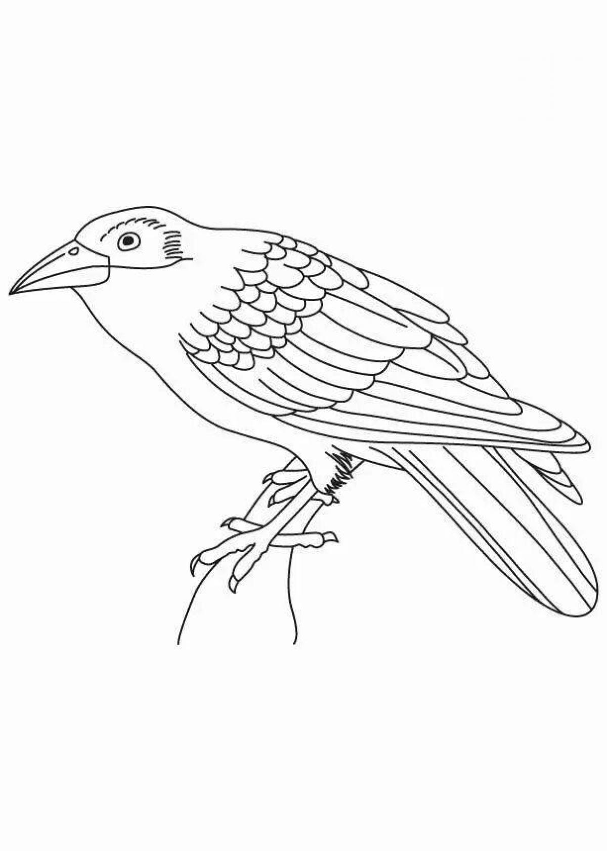 Coloring book funny sparrow and crow