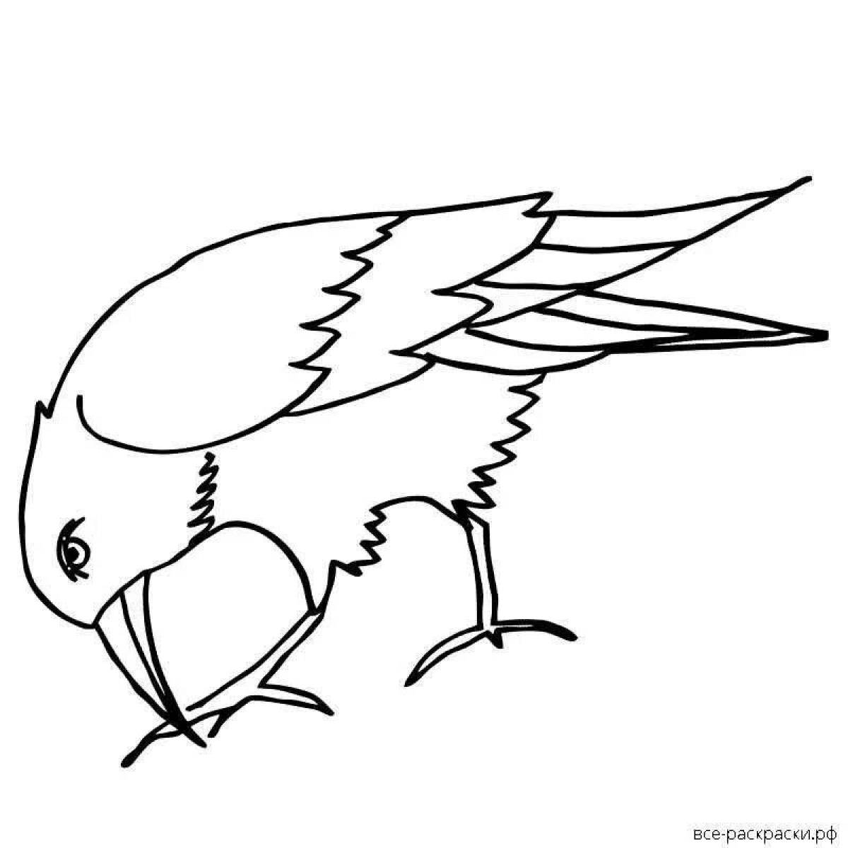Fancy sparrow and crow coloring page