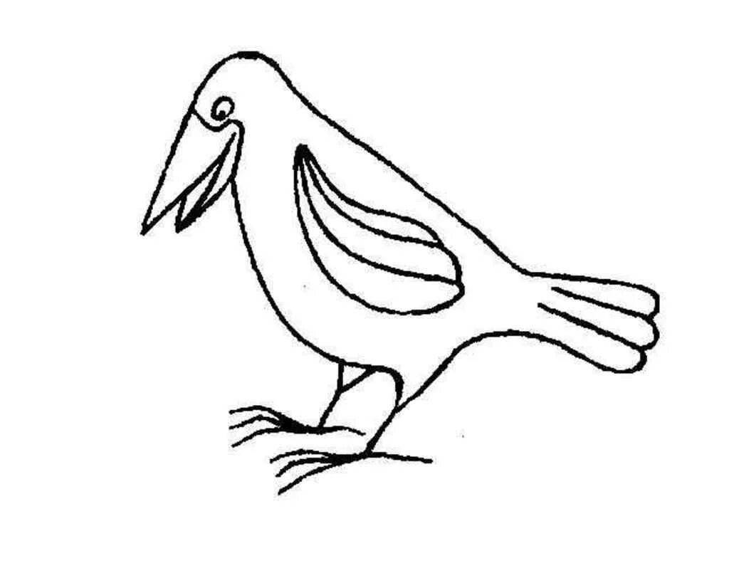 Coloring page cute sparrow and crow