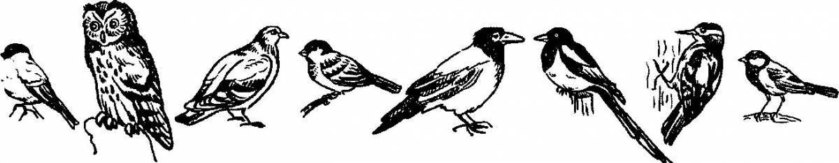 Coloring page merciful sparrow and crow