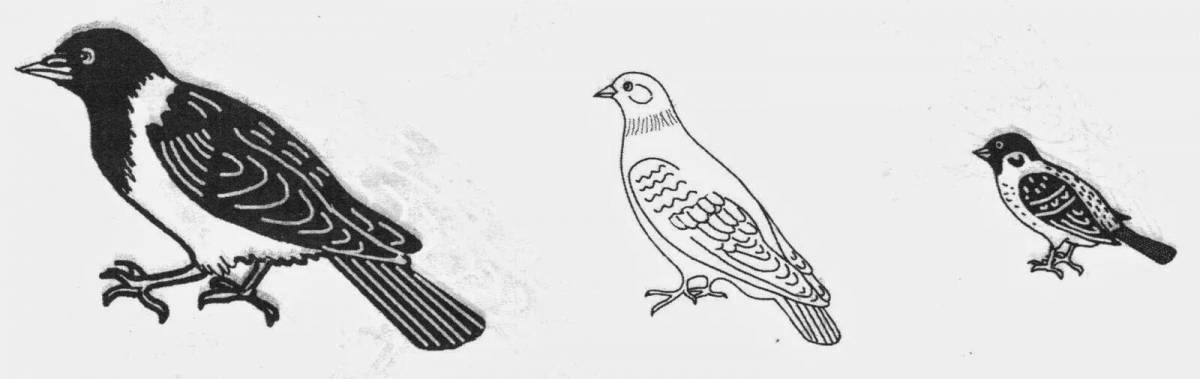 Great sparrow and crow coloring page