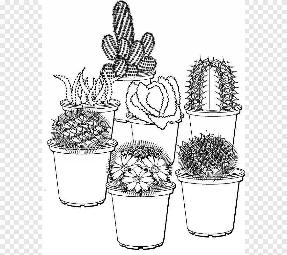 Bright cactus in a pot