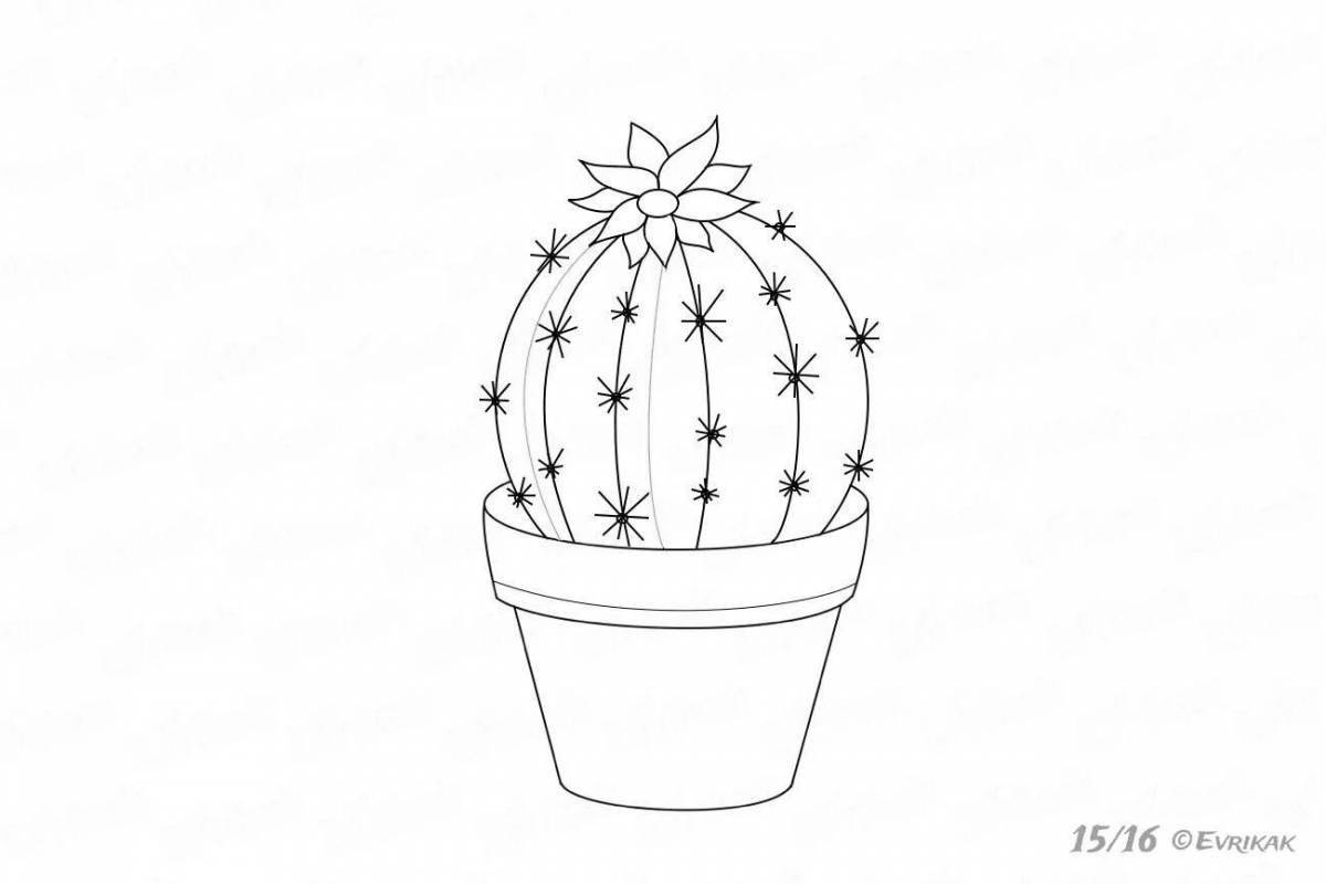 Jolly cactus in a pot