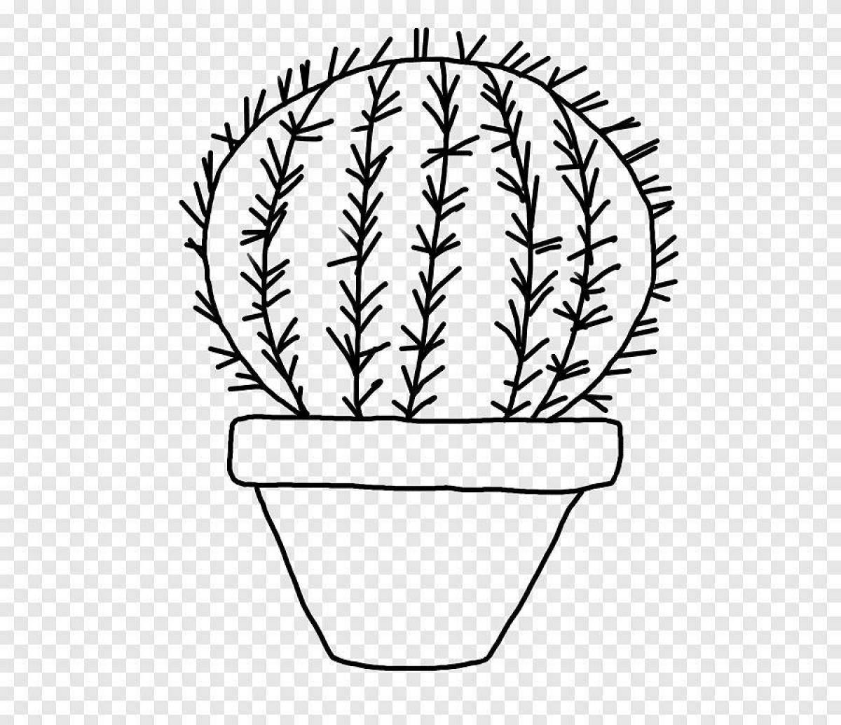 Radiant cactus in a pot