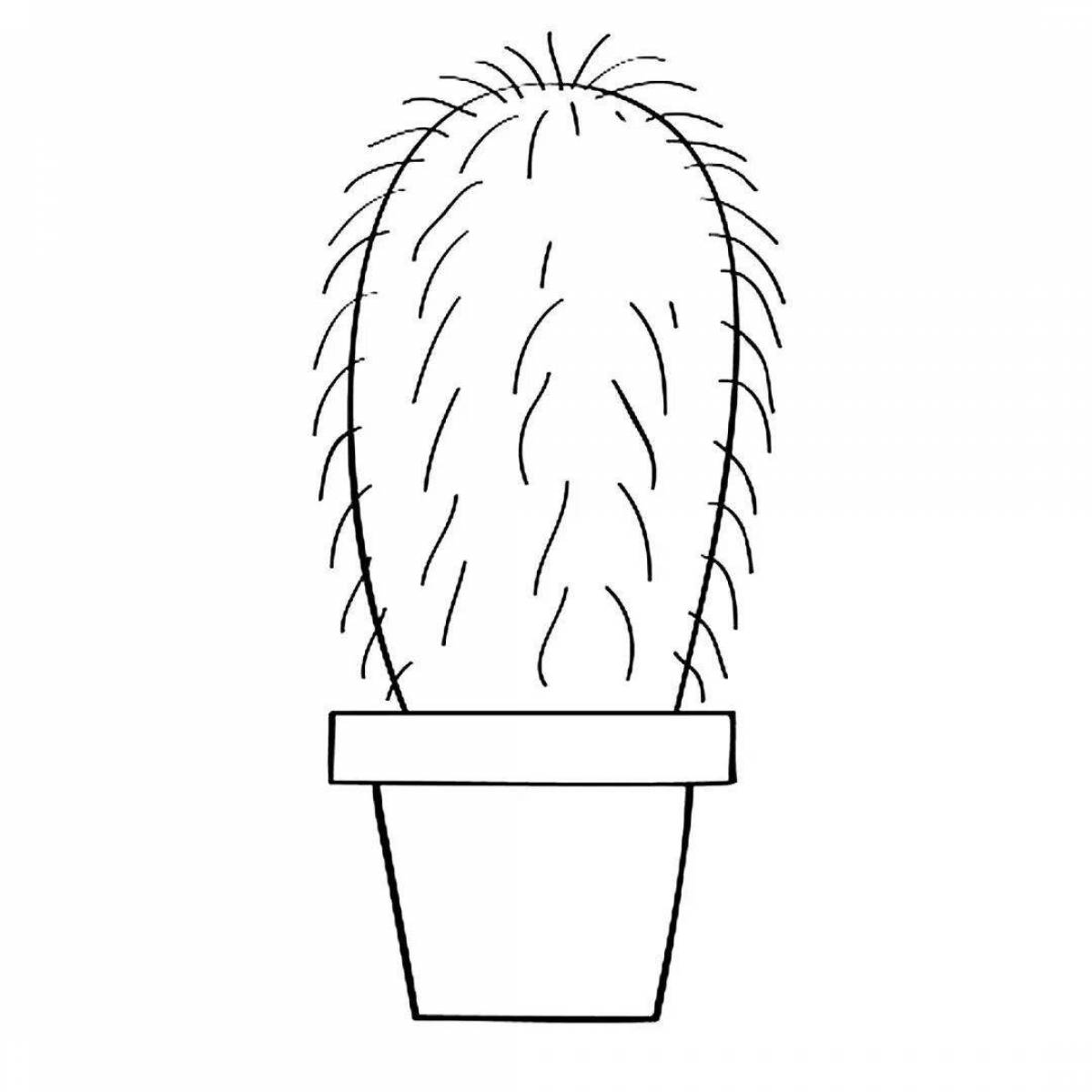 Flowering cactus in a pot