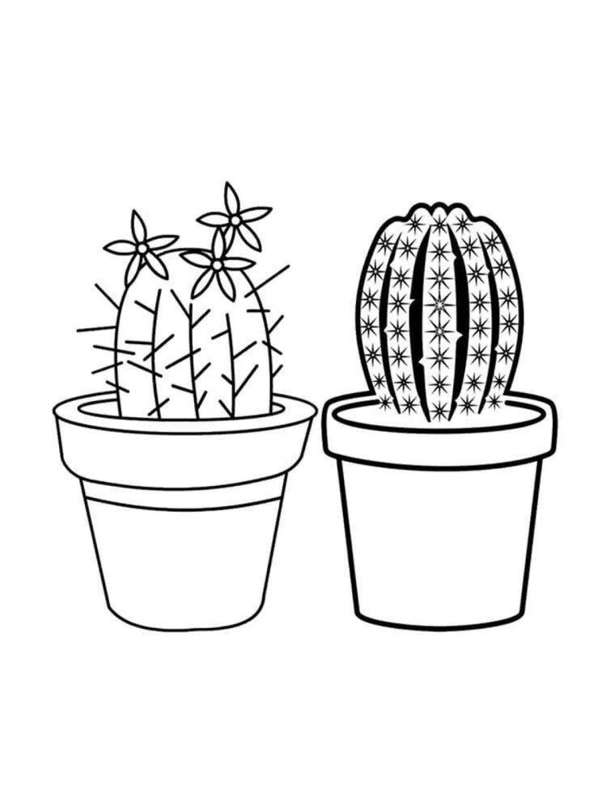 Potted cactus #13