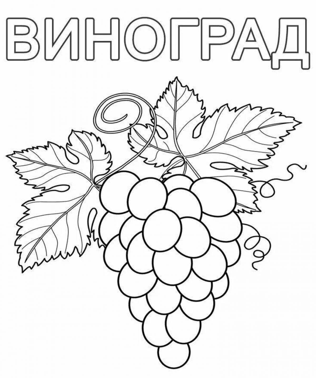 Colourful berries and fruits coloring book