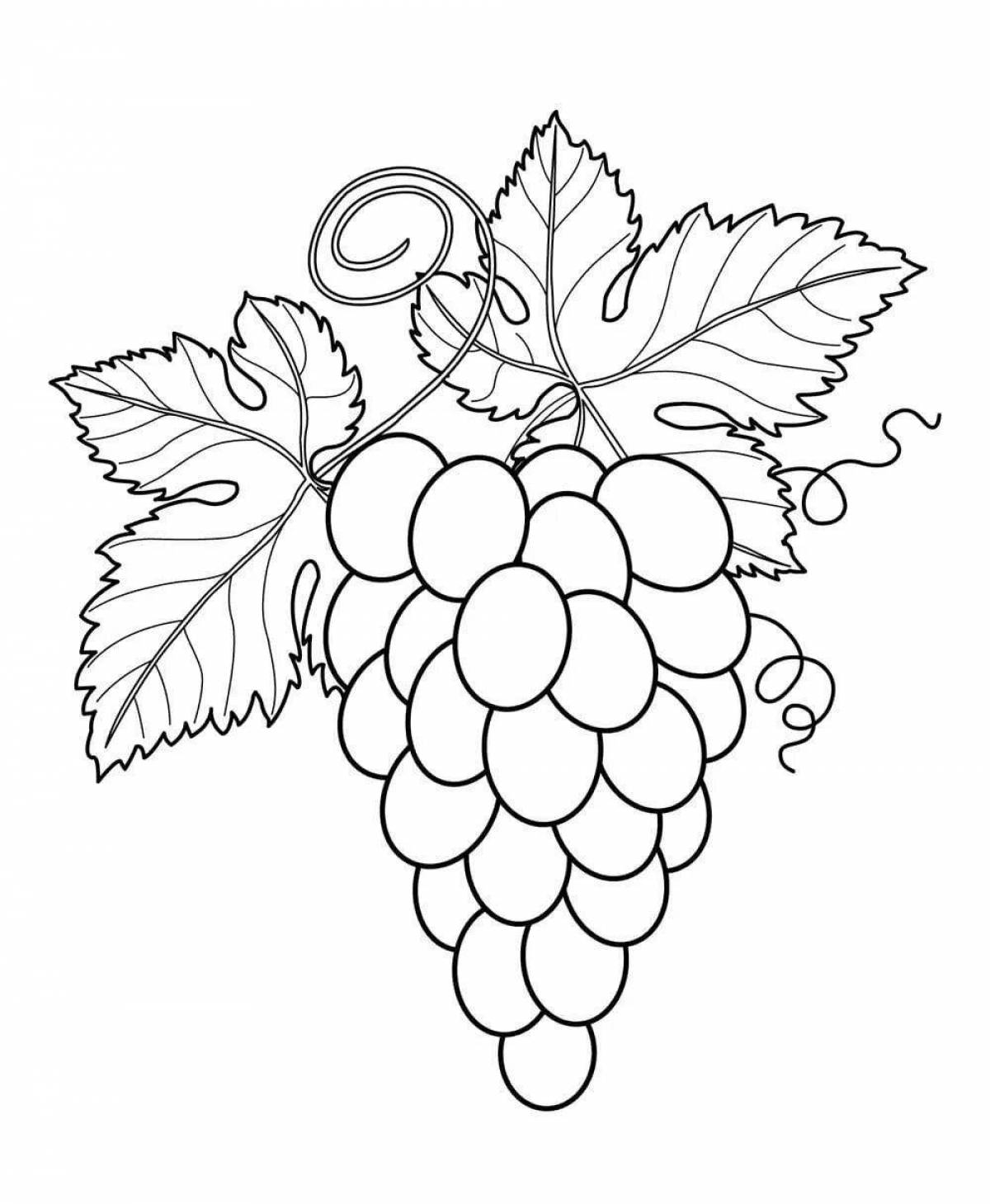 Delicious berries and fruits coloring book