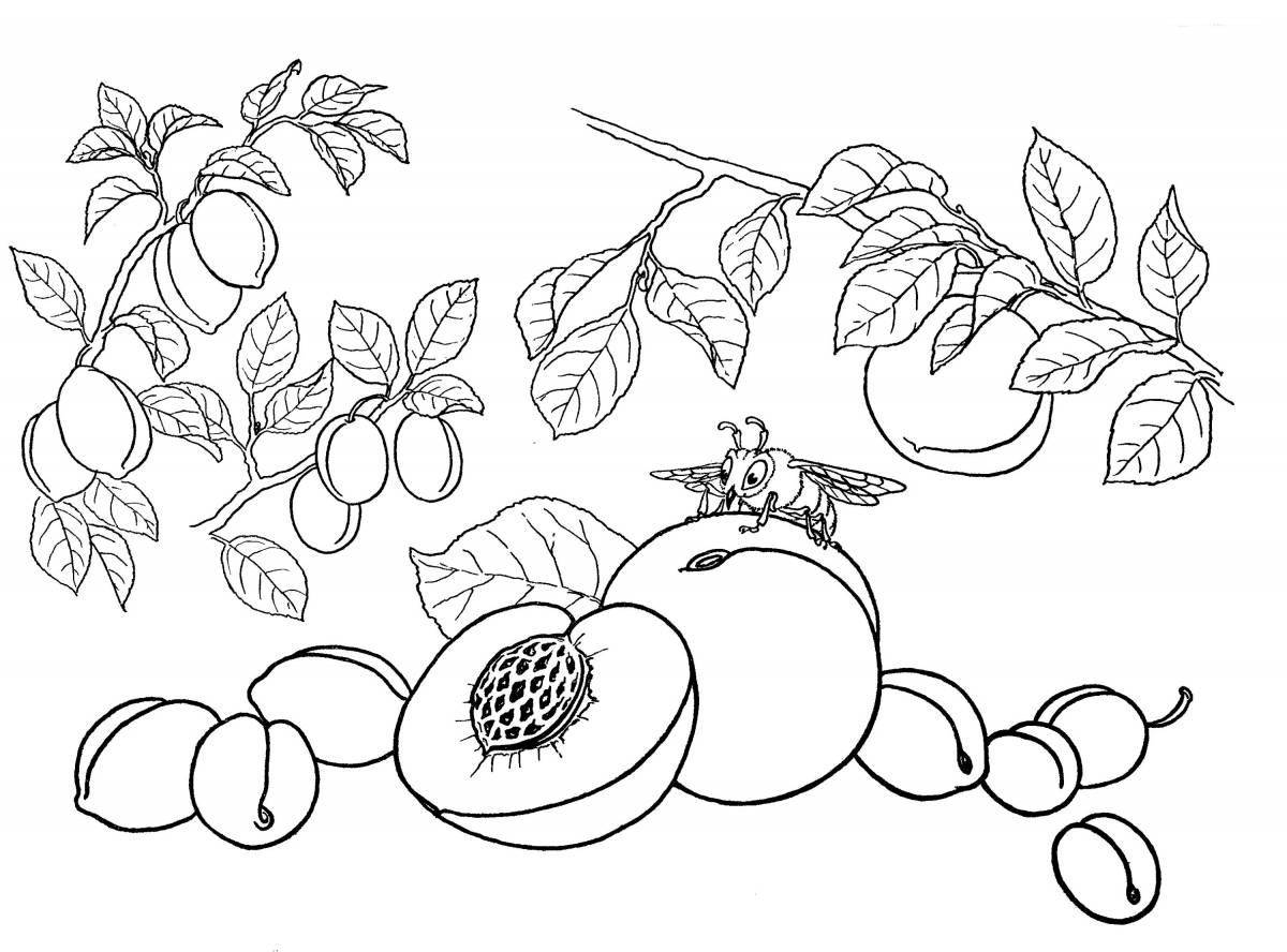 Раскраска экзотические ягоды и фрукты