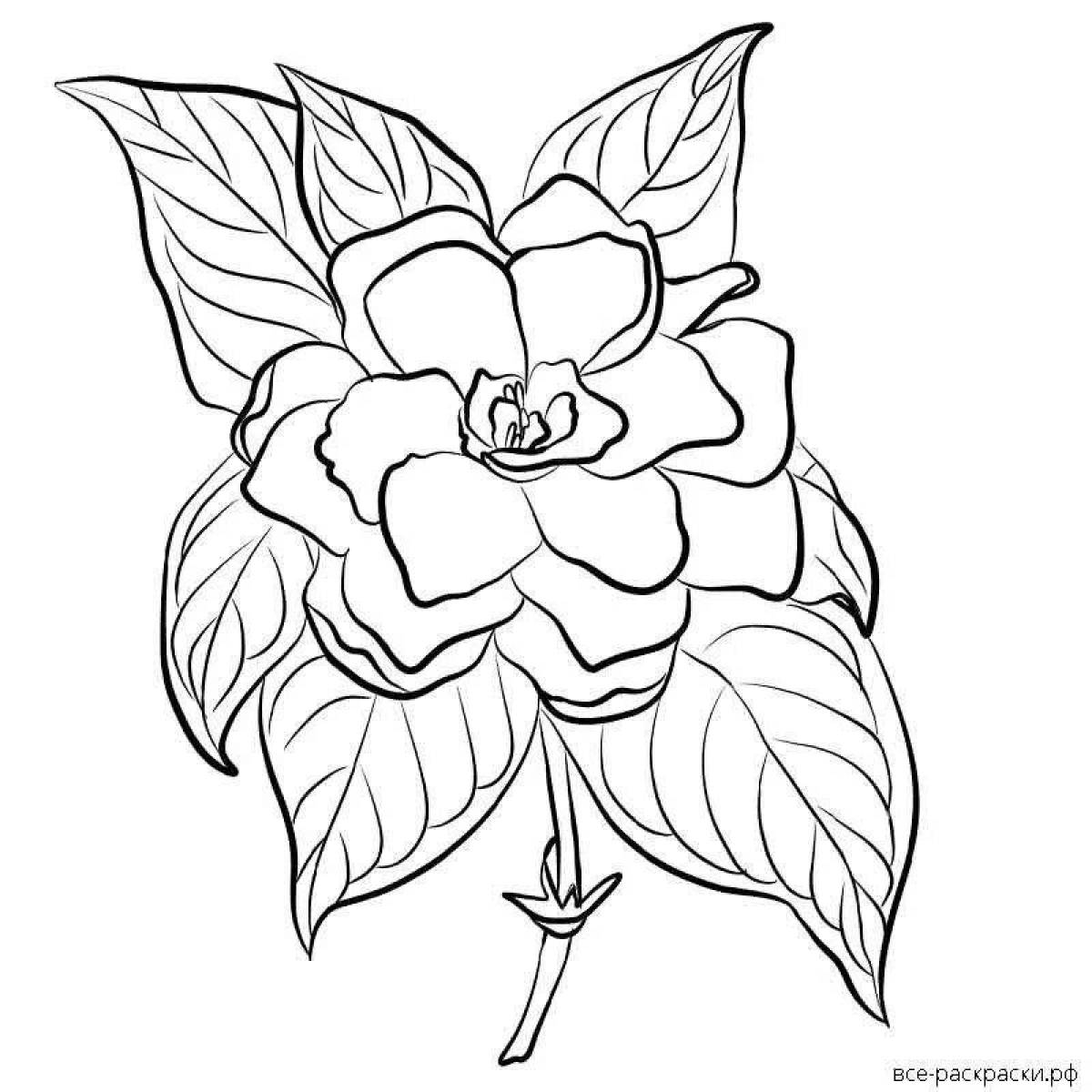 Ярко окрашенный аленький цветочек раскраска 4 класс