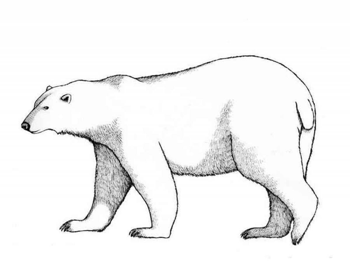 Majestic polar bear on ice coloring page