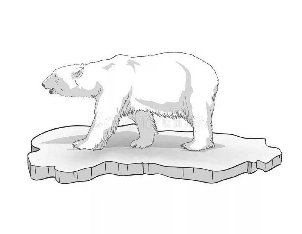 Cute polar bear on ice coloring page