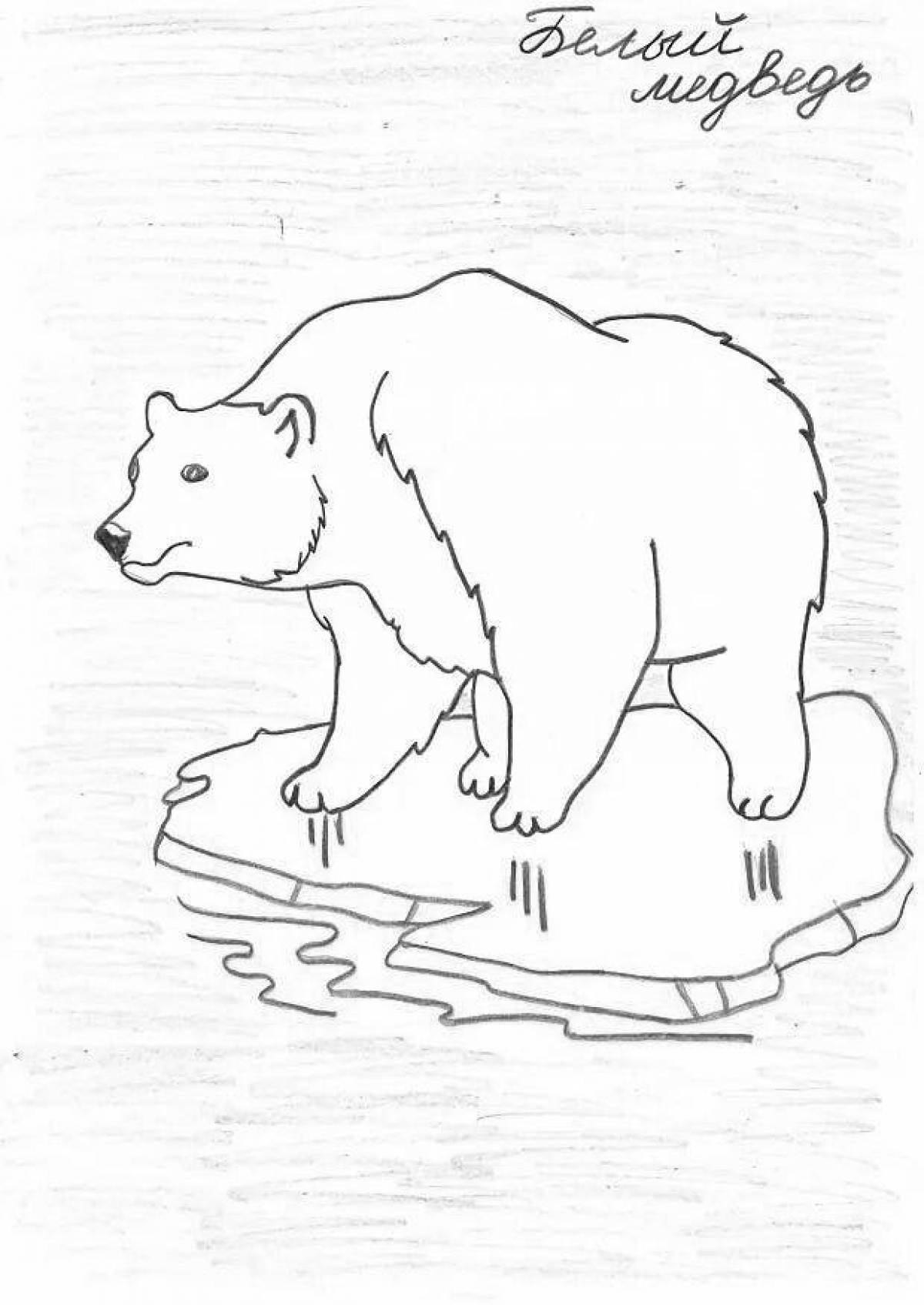 Coloring book gorgeous polar bear on ice