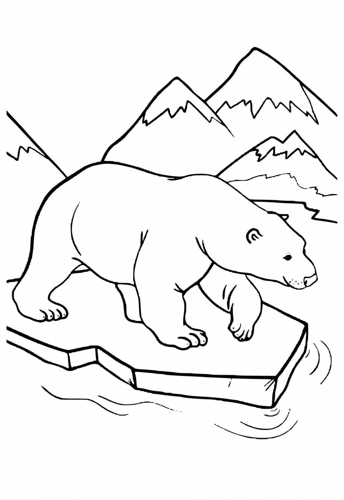 Coloring book nice polar bear on ice