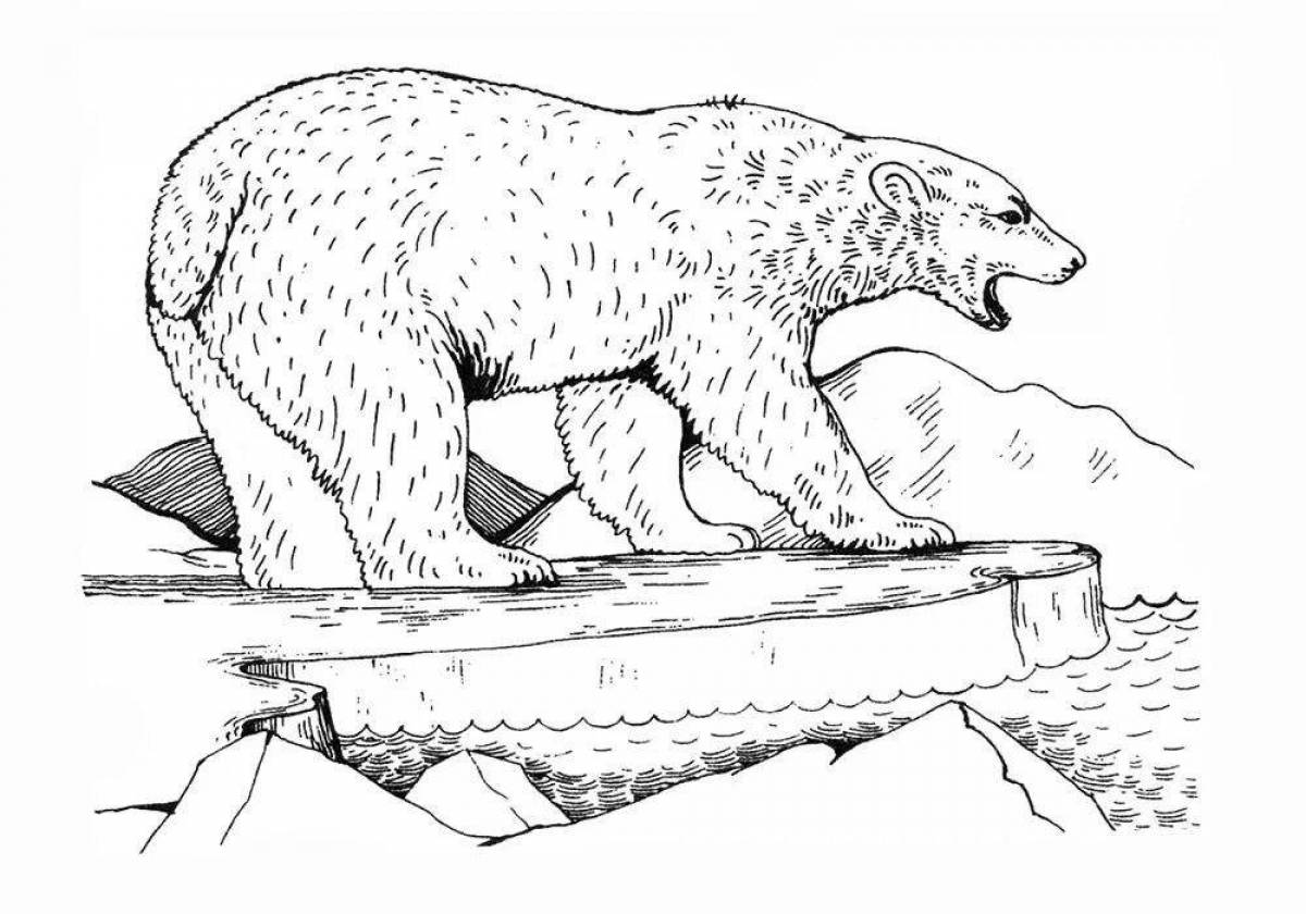 Coloring book shining polar bear on ice