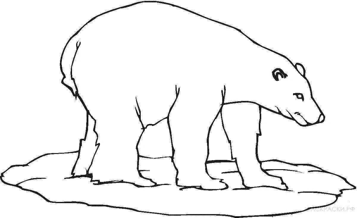 Coloring page wild polar bear on ice