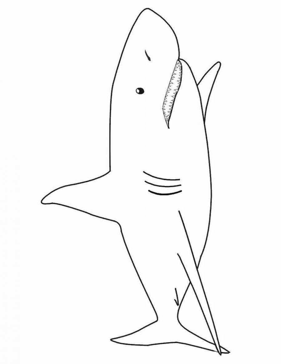 Раскраска акула из Икеи