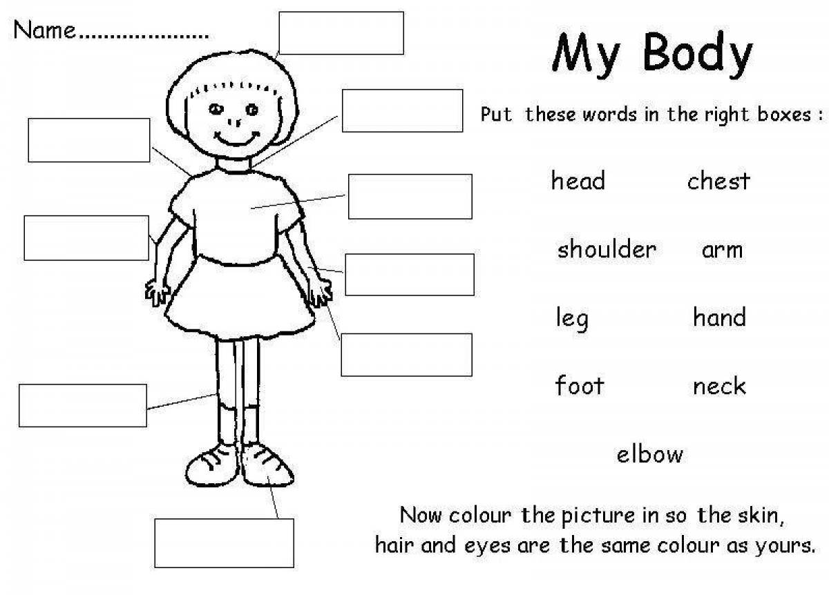 Части тела на английском для детей. Задания по английскому части тела. Части тела на английском языке задания. Части тела на английском языке упражнения. Части тела на английском для детей задания.