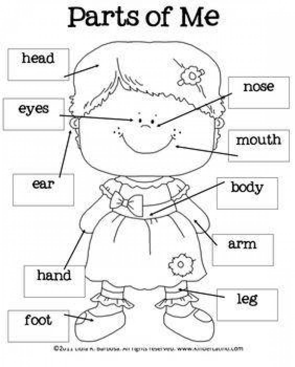 Parts of dating. Раскраски части тела на английском языке. Части тела англ раскраска. Parts of body задания для детей. Задания части тела по английскому для детей дошкольников.