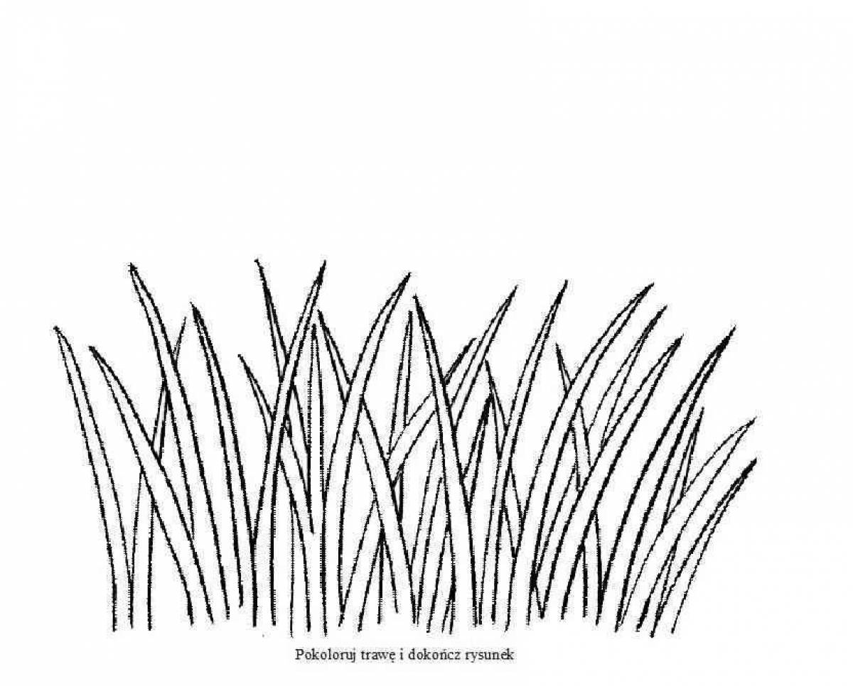 Рис контур. Трава раскраска для детей. Трава контур. Травка раскраска для детей. Трава контурный рисунок.
