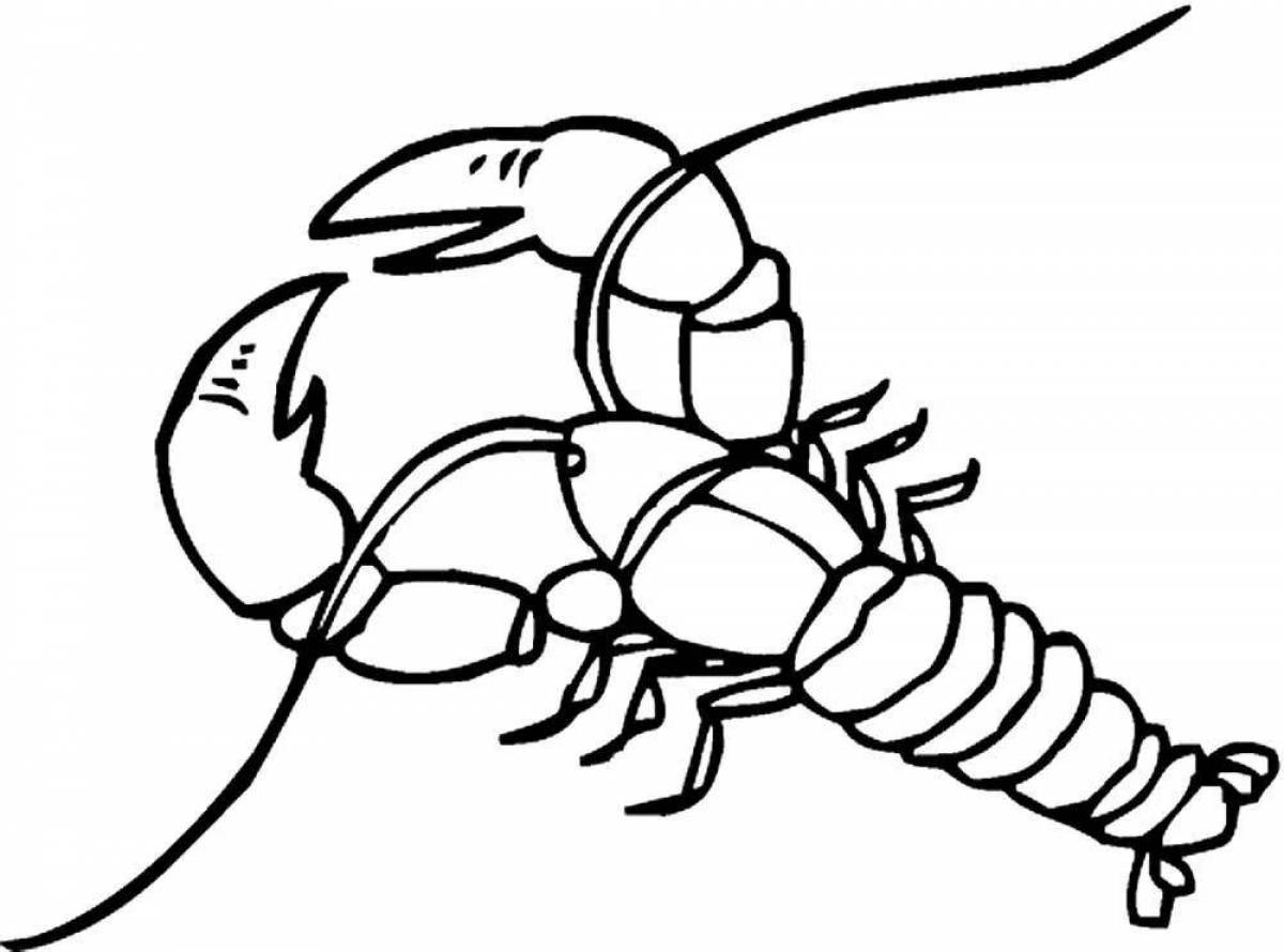 Рисунок рака. Ракообразные раскраска. Рачки для раскрашивания. Рачки для детей раскраска. Лобстер раскраска.